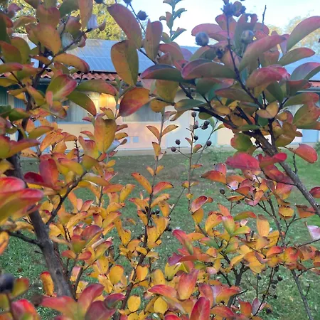 Résidence Thibaud 2* Toulouse