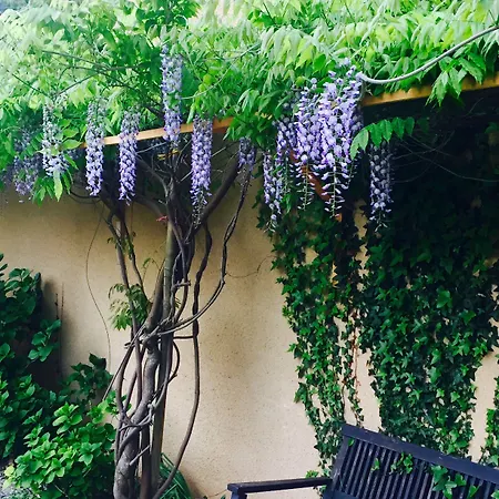 Résidence Thibaud Hotel Toulouse